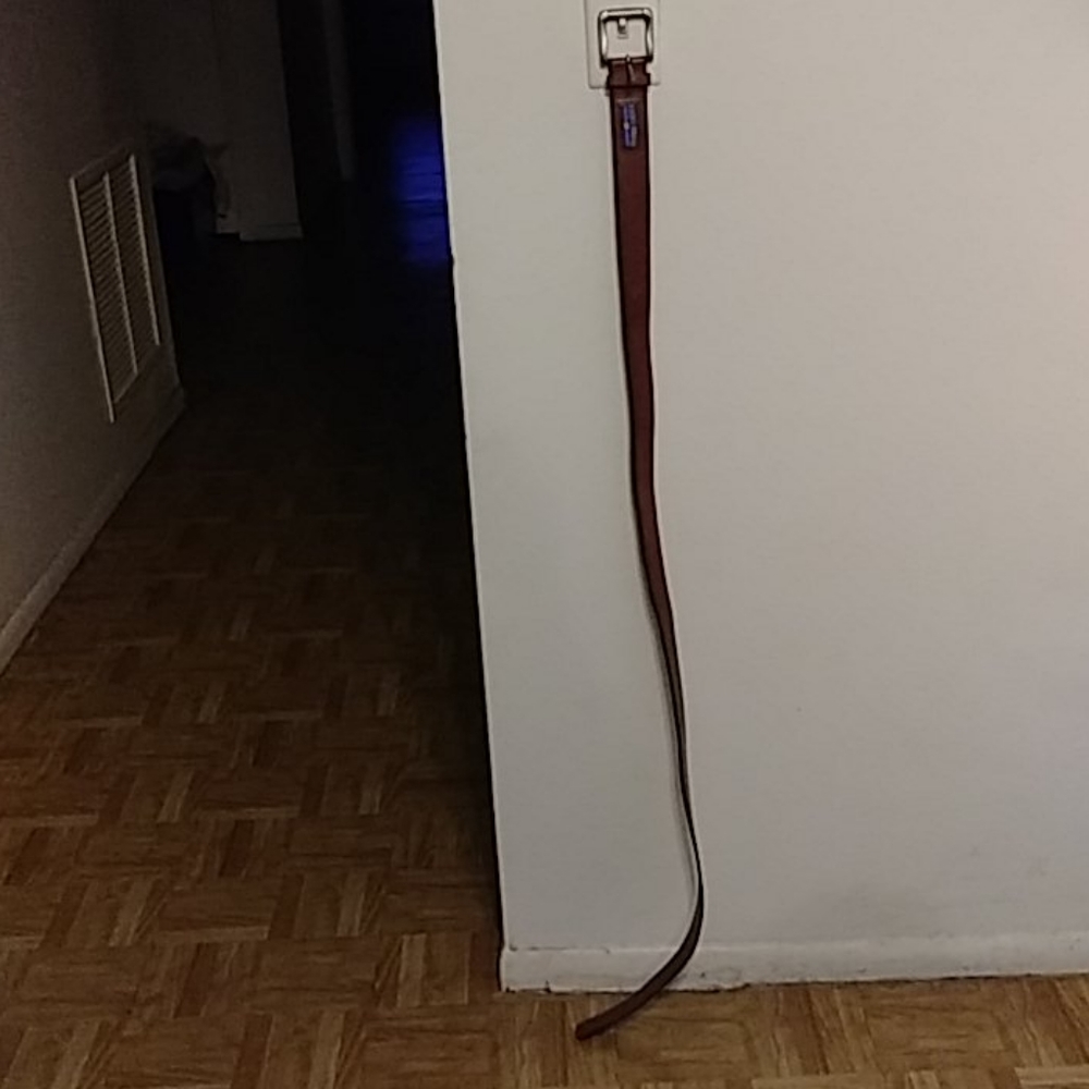 Men's Belt